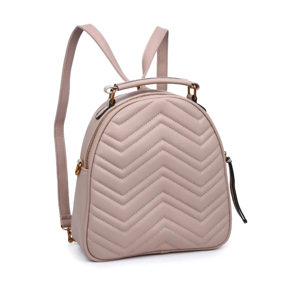 Cameron V Stitch Single Zip Backpack