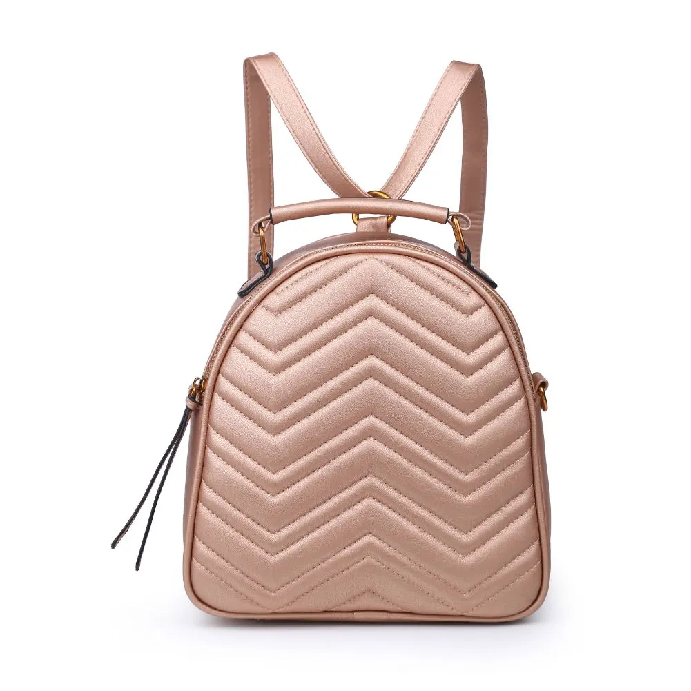 Cameron V Stitch Single Zip Backpack